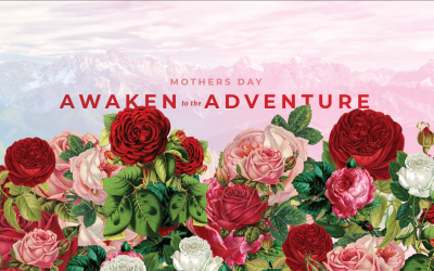 Awaken to the Adventure | Alisa Walter