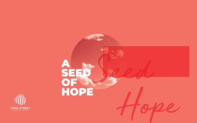 A Seed of Hope | Tim Walter