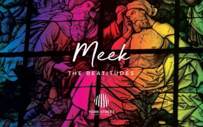 Blessed Are the Meek | Ange Oliver